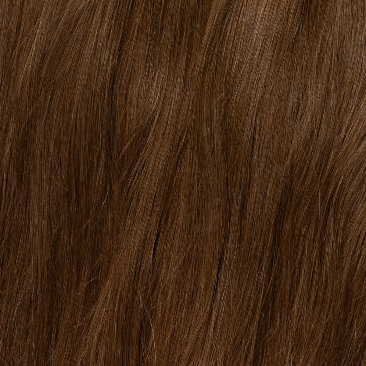 Clip in Extensions | Warm Bruin 4