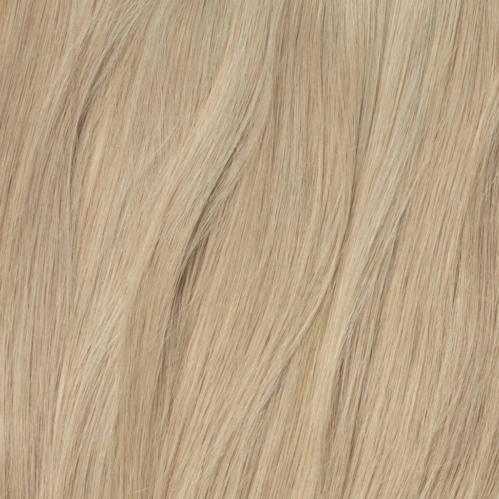 Clip in Extensions | Beige Blond 16B
