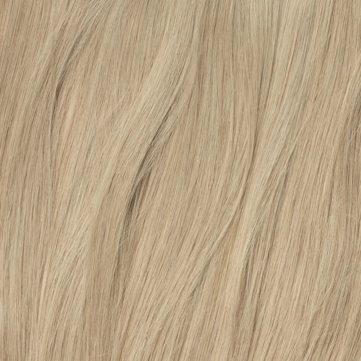 Clip in Extensions | Beige Blond 16B
